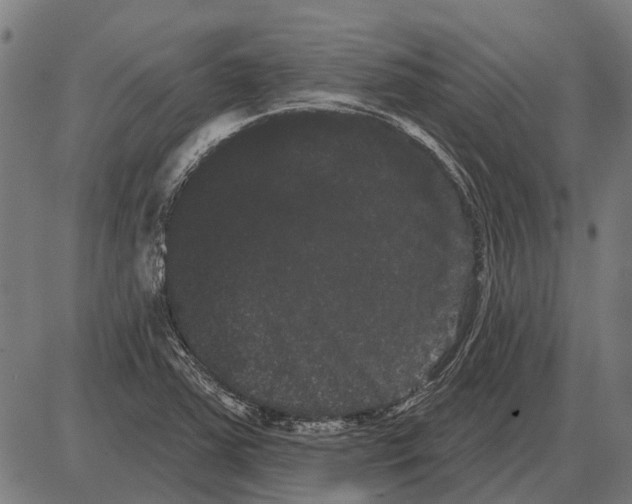 X0000085041363200703261301