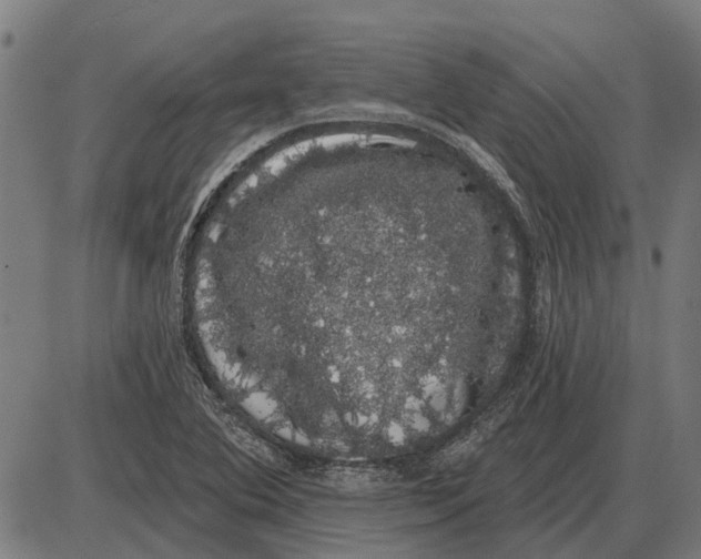 X0000085041364200703261301