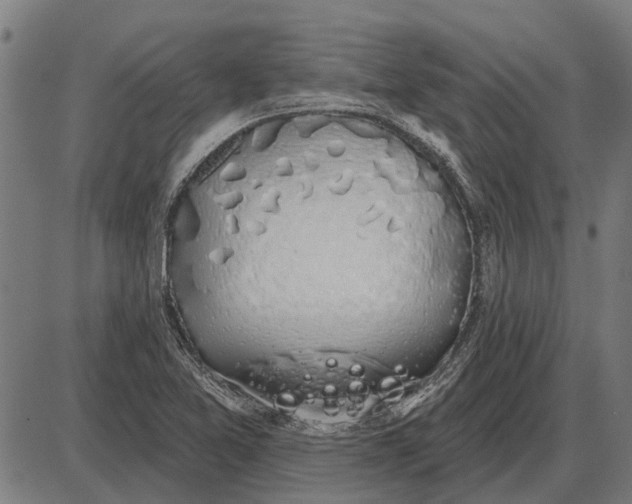 X0000085041365200703261301