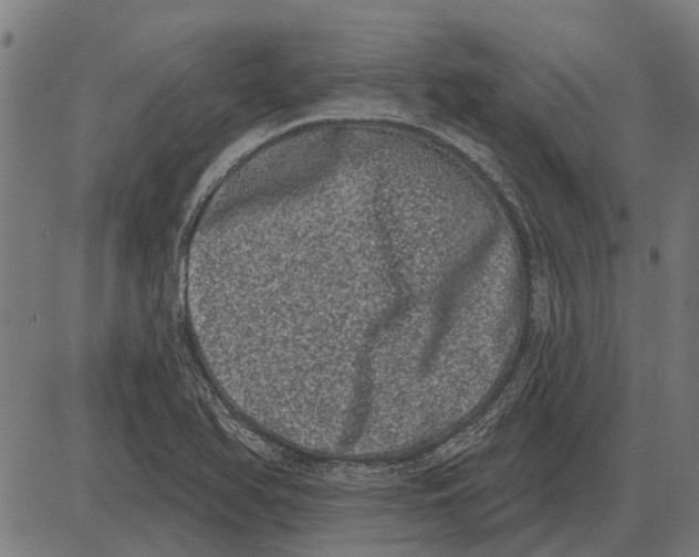 X0000085041366200703261301