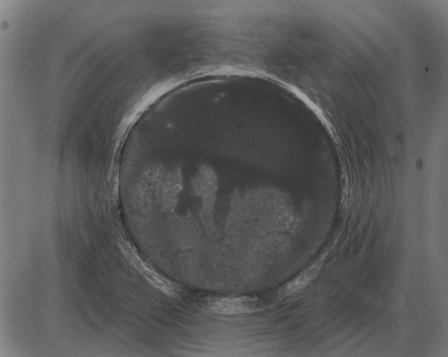 X0000085041367200703261301