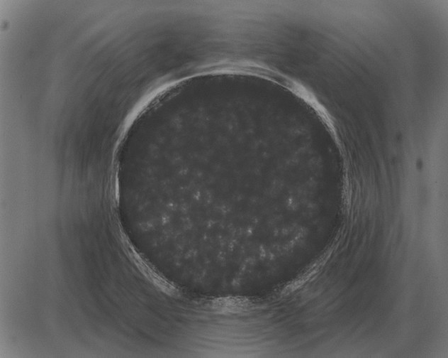 X0000085041368200703261301