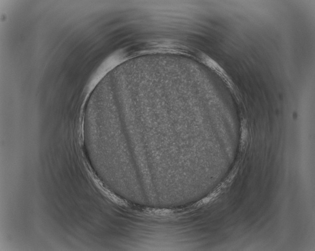 X0000085041370200703261301