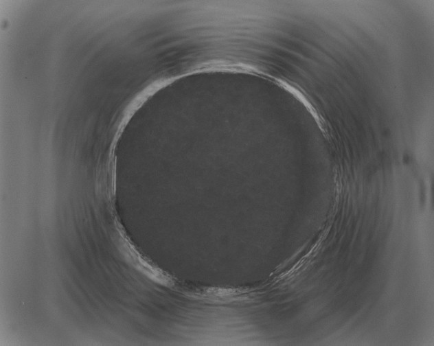 X0000085041371200703261301