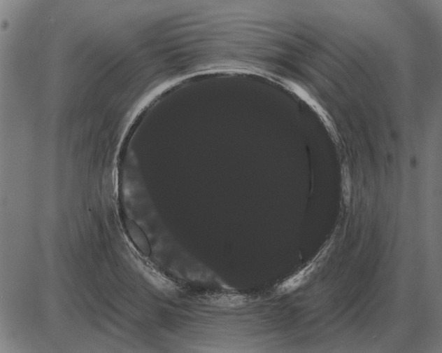 X0000085041372200703261301