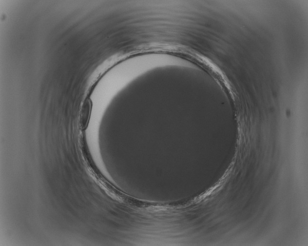 X0000085041373200703261301