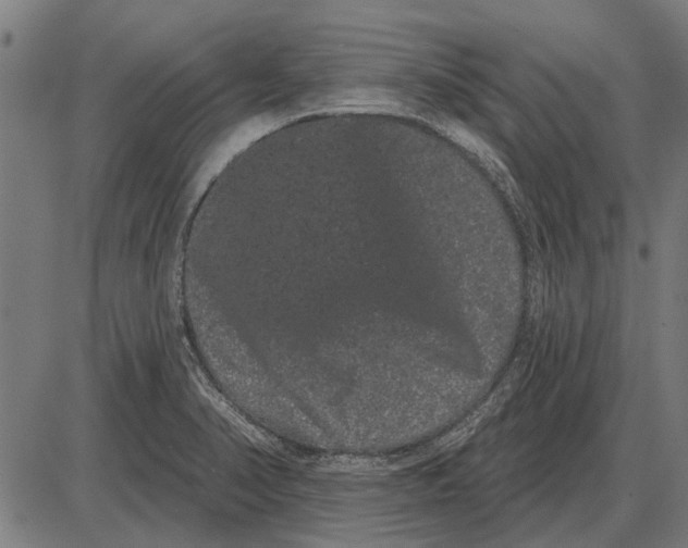 X0000085041374200703261301