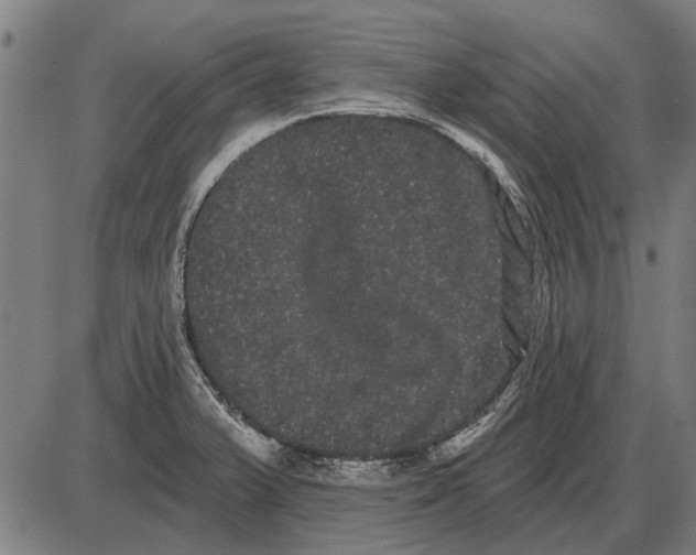 X0000085041375200703261301