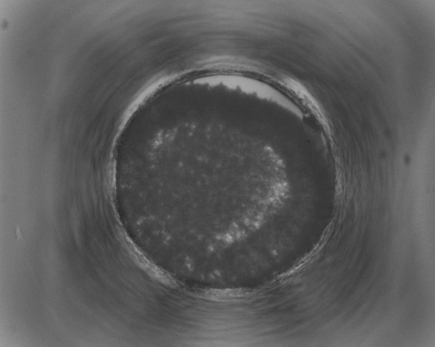 X0000085041376200703261301