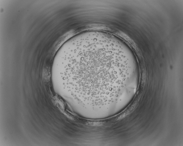 X0000085041377200703261301