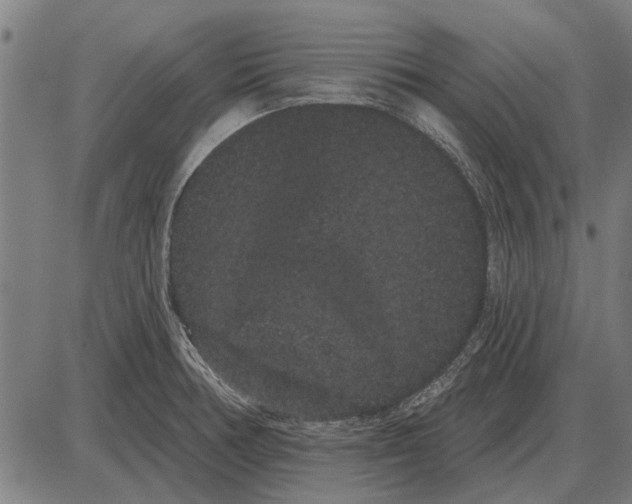 X0000085041378200703261301