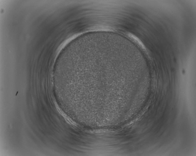 X0000085041380200703261301