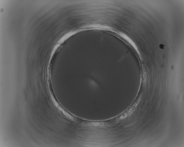 X0000085041381200703261301