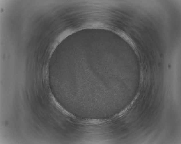 X0000085041382200703261301