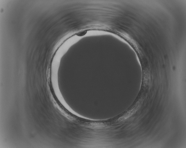 X0000085041383200703261301