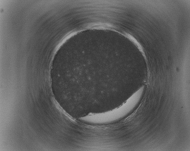 X0000085041384200703261301