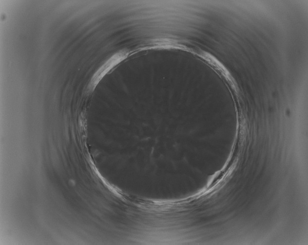 X0000085041385200703261301