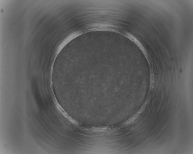 X0000085041386200703261301