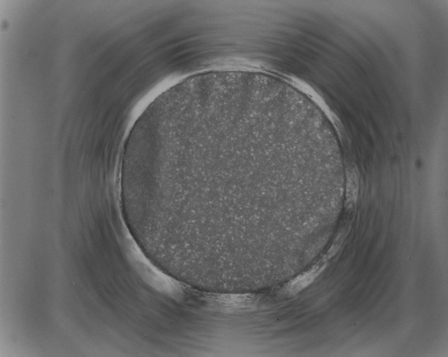 X0000085041387200703261301