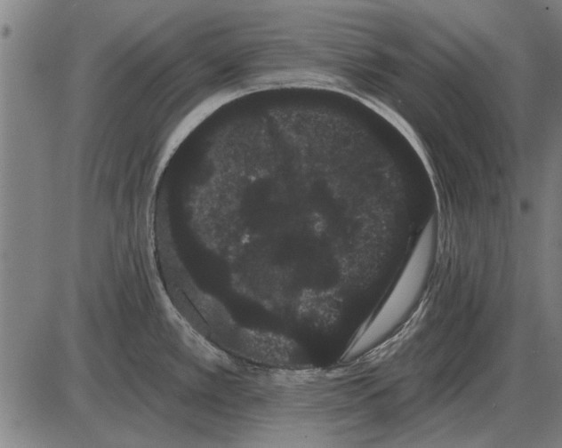 X0000085041389200703261300