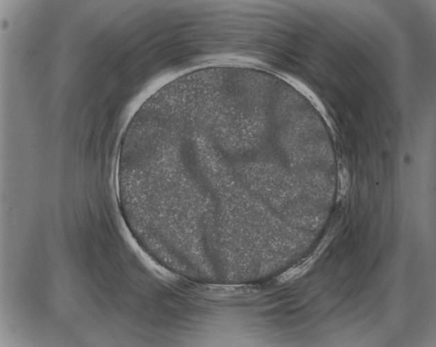 X0000085041391200703261300