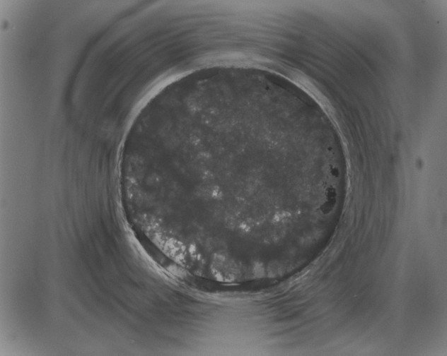 X0000085041392200703261300