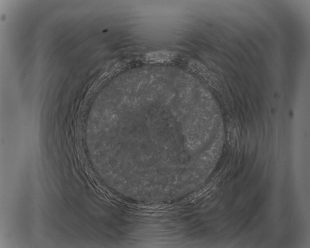 X0000085041393200703261300