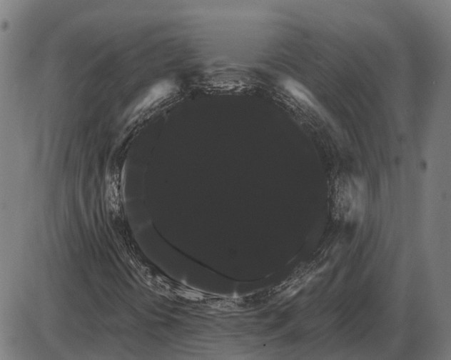 X0000085041394200703261300