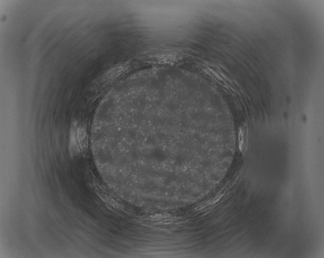 X0000085041395200703261300