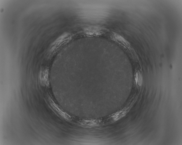 X0000085041396200703261300