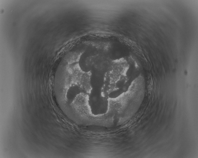 X0000085041397200703261300