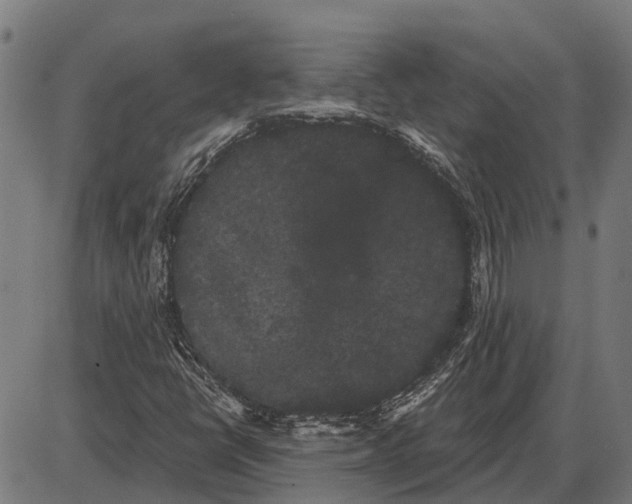 X0000085041398200703261300