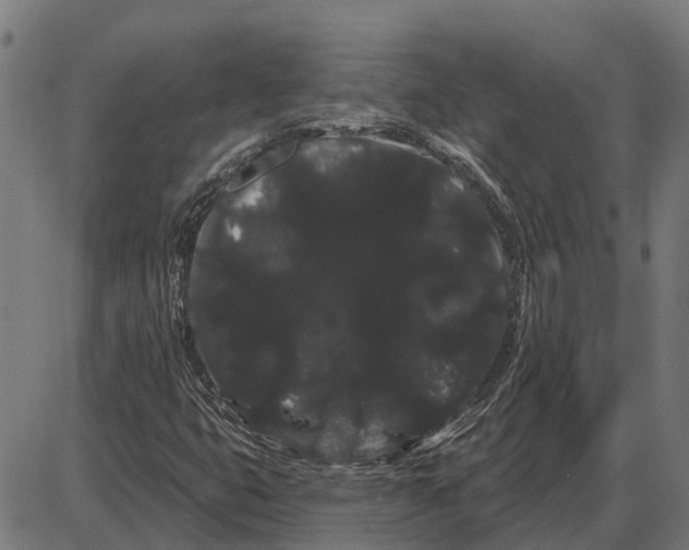 X0000085041399200703261300