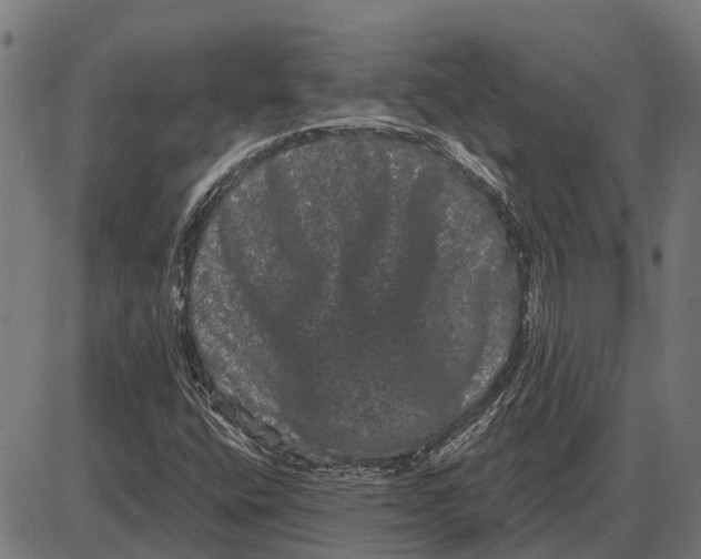 X0000085041400200703261300