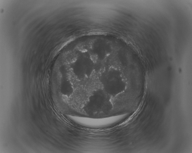 X0000085041401200703261300