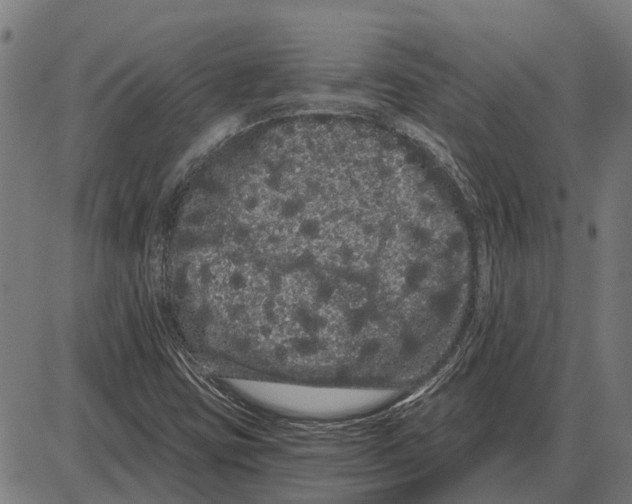 X0000085041403200703261300