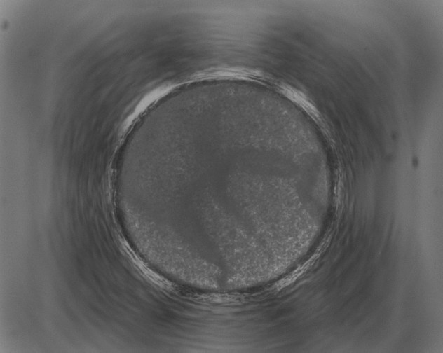 X0000085041404200703261300