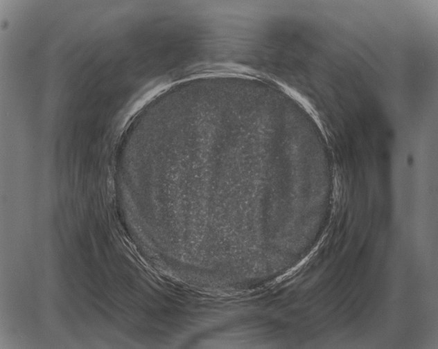 X0000085041407200703261300