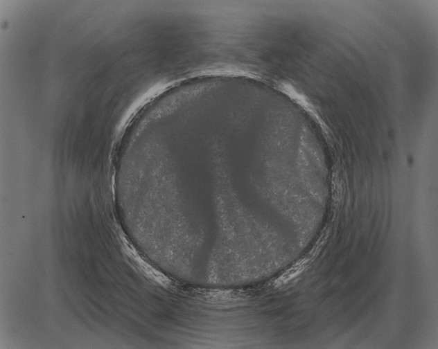 X0000085041408200703261300