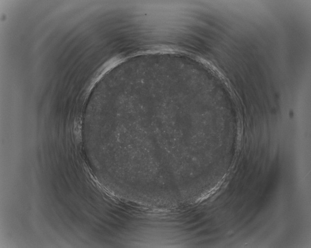 X0000085041409200703261300