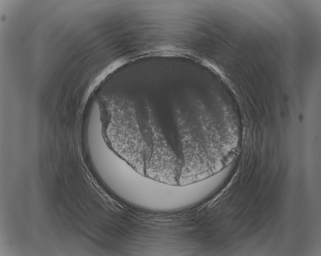 X0000085041410200703261300