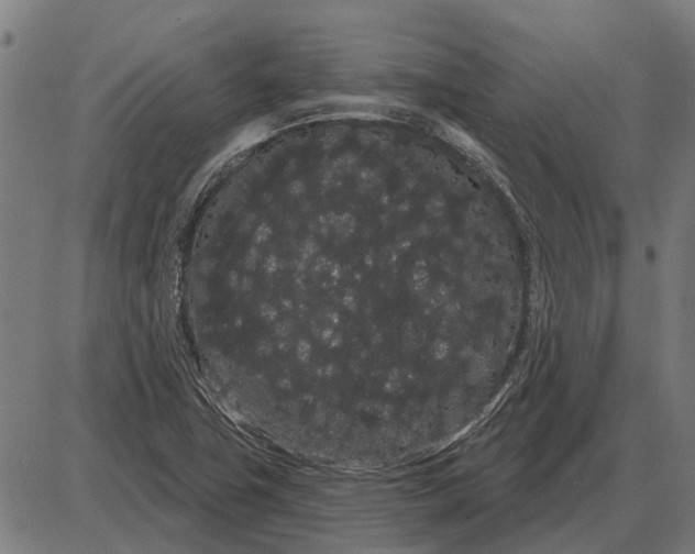 X0000085041411200703261300