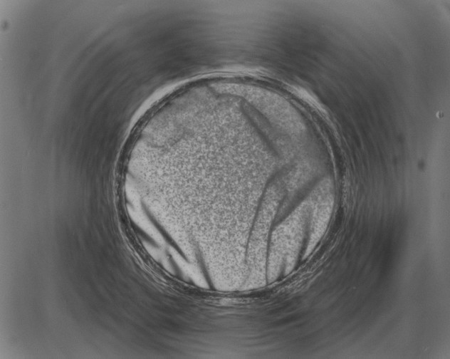 X0000085041412200703261300