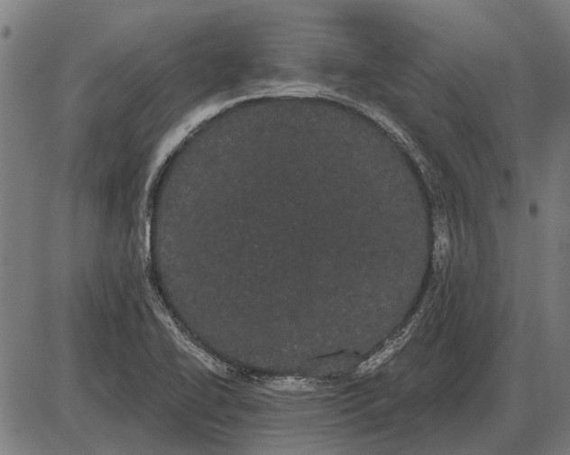 X0000085041414200703261300