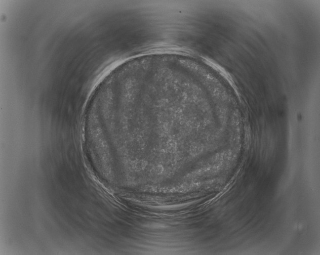 X0000085041415200703261300