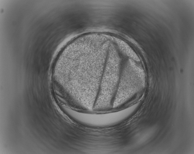 X0000085041416200703261300