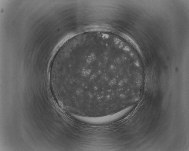 X0000085041419200703261300