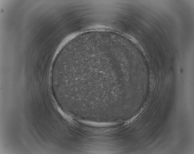 X0000085041421200703261300