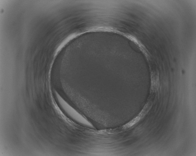 X0000085041422200703261300