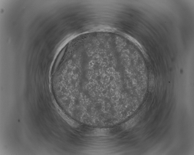 X0000085041423200703261300